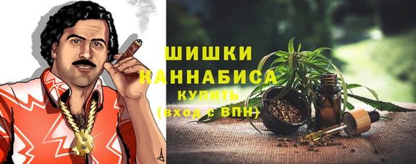 spice Верхний Тагил